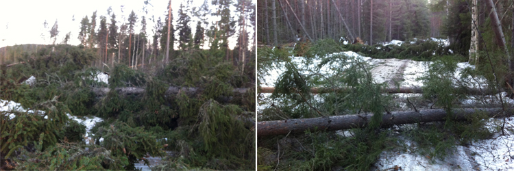 Förbered dig inför stormen Förbered dig inför stormen